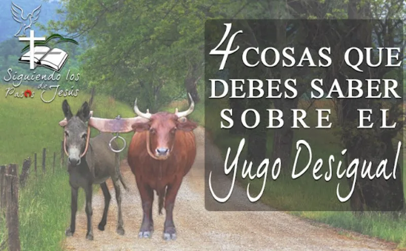 yugo-desigual-biblia