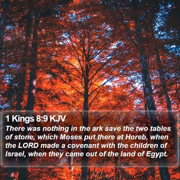 The King's Dedication and God's Warning: A Look at 1 Kings 8-9