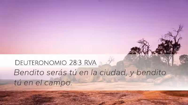 The Blessings of Obedience: A Deeper Look into Deuteronomy 28:3