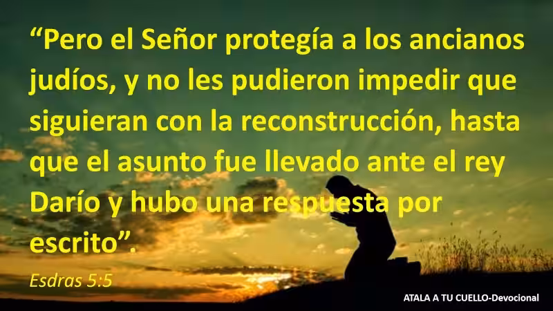 The Return of the Exiles: A Story of Hope and Perseverance in Ezra 5