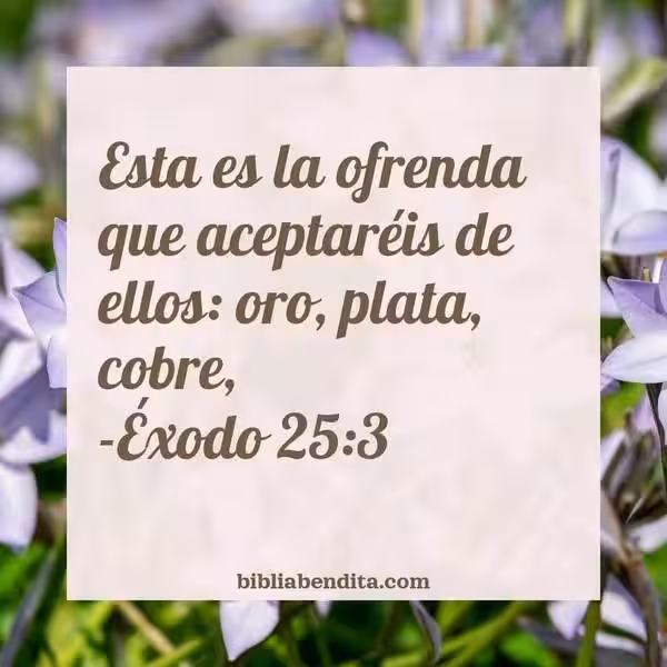 Exodus 25:3: A Glimpse into the Divine Blueprint for the Tabernacle