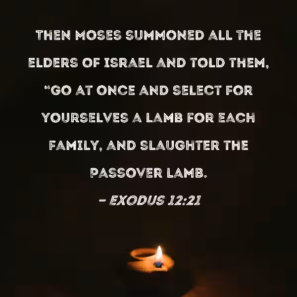 The Passover: More Than Just a Meal