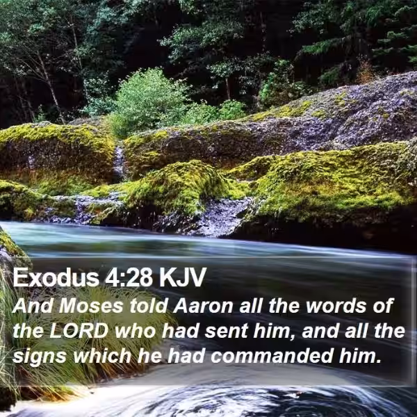 Exodus 4:28: A Moment of Divine Intervention