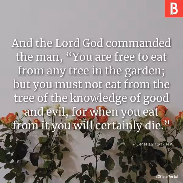 Genesis 2:16-17: A Gateway to Understanding God's Design