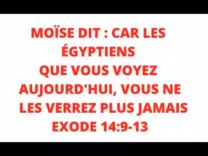 les-egyptiens-que-vous-voyez