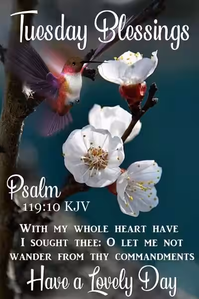 Tuesday Bible Verse: Finding Strength in the Lord