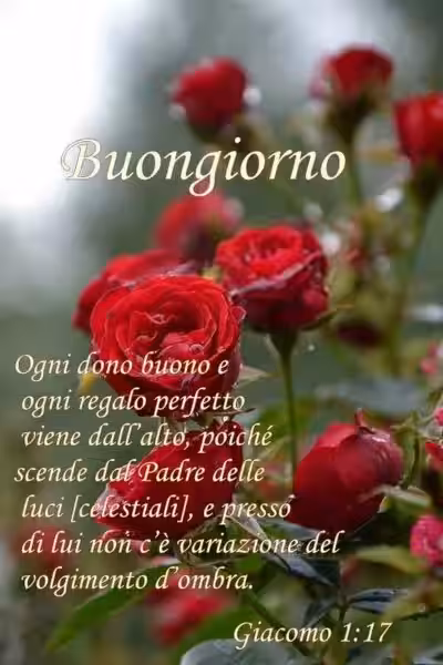 Buongiorno con i Salmi: Iniziare la Giornata con la Benedizione Divina
