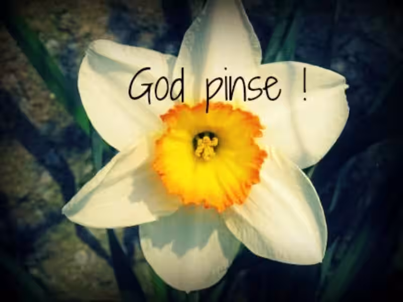 God Pinse! En dypt dykk i Norges pinsefeiring