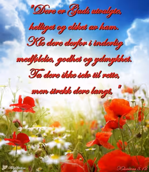 Guds Utvalgte: En Kompleks Undersøkelse