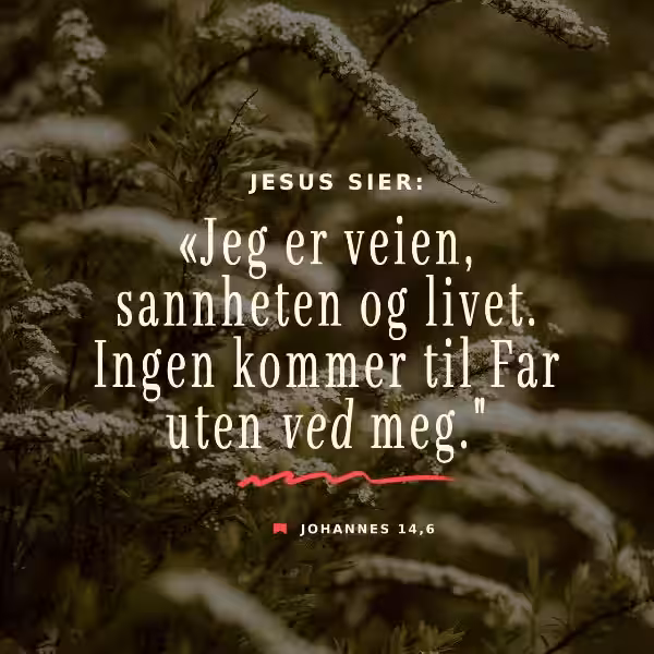 Jeg er veien, sannheten og livet: En dypdykk i Johannes 14:6