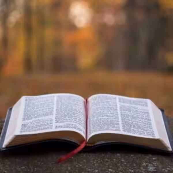 Søndagens Bibeltekst: En Reise Gjennom Tid og Tro