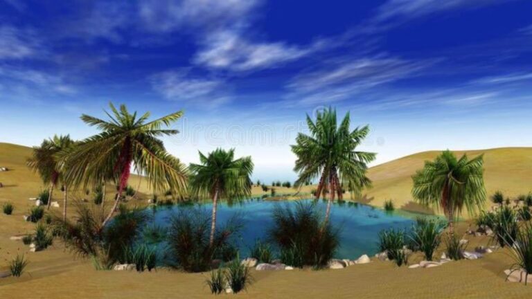 12-fuentes-de-agua-y-70-palmeras