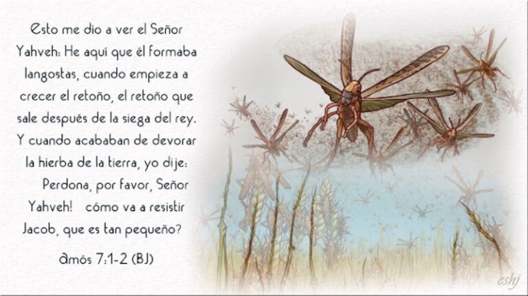 amos-capitulo-7
