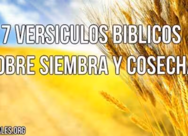 7-versiculos-biblicos-sobre-la-siembra-y-la-cosecha