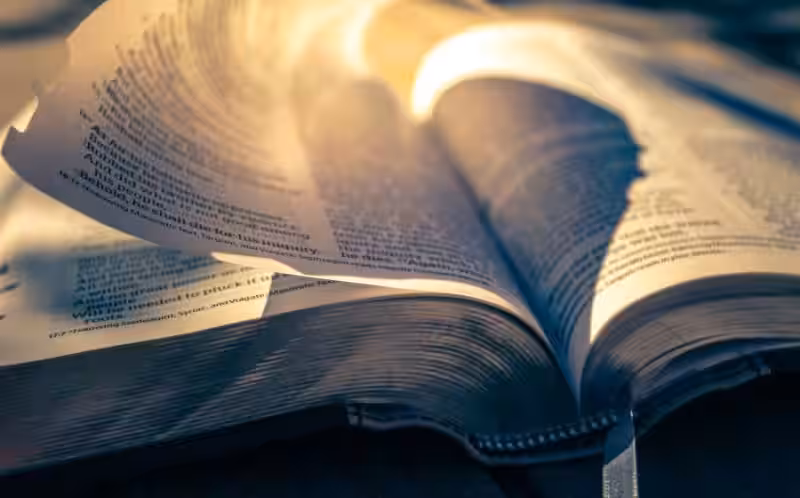 alma-generosa-significado