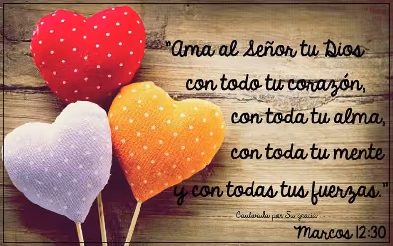ama-a-dios-con-todas-tus-fuerzas