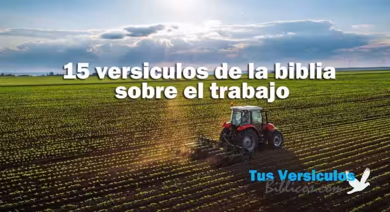 citas-biblicas-sobre-trabajo
