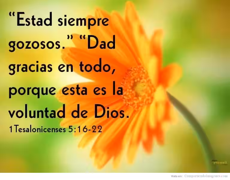 dad-gracias-en-todo-reflexion
