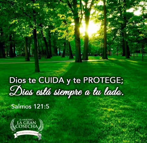 dios-nos-cuida-y-nos-protege