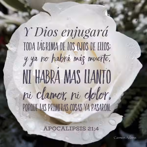 el-enjugara-toda-lagrima