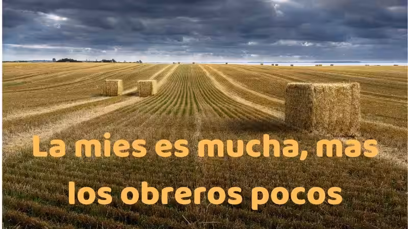 la-mies-es-mucha-y-los-obreros-pocos-significado