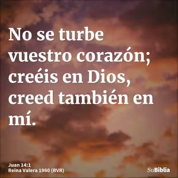 no-se-turbe-vuestro-corazon-ni-tenga-miedo