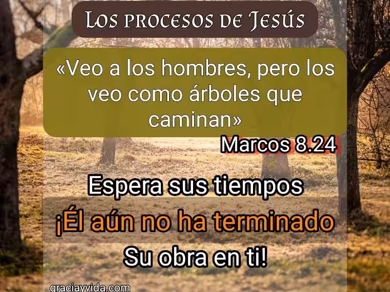 procesos-de-dios-texto-biblico