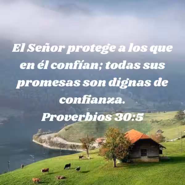 proverbios-305
