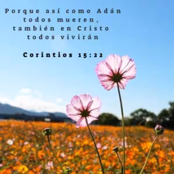 salmos-para-un-ser-querido-fallecido