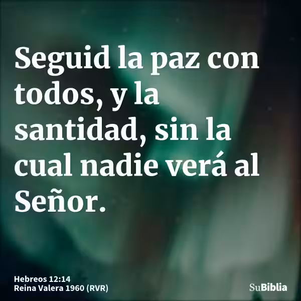 sin-santidad-nadie-vera-al-senor-reina-valera