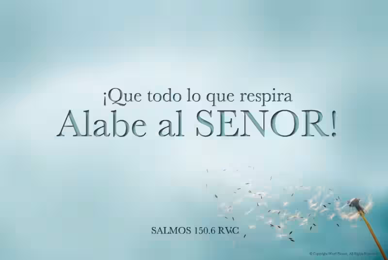 todo-lo-que-respire-alabe-a-jehova-versiculo